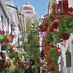 Spacious With Terrace And Garden Close To The Sea Apartmán *