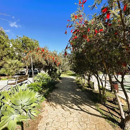 Spacious With Terrace And Garden Close To The Sea Apartament